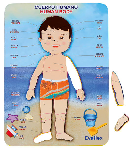 Rompecabezas Evaflex Foamy Cuerpo Niño Idioma 20**29cm 11pza