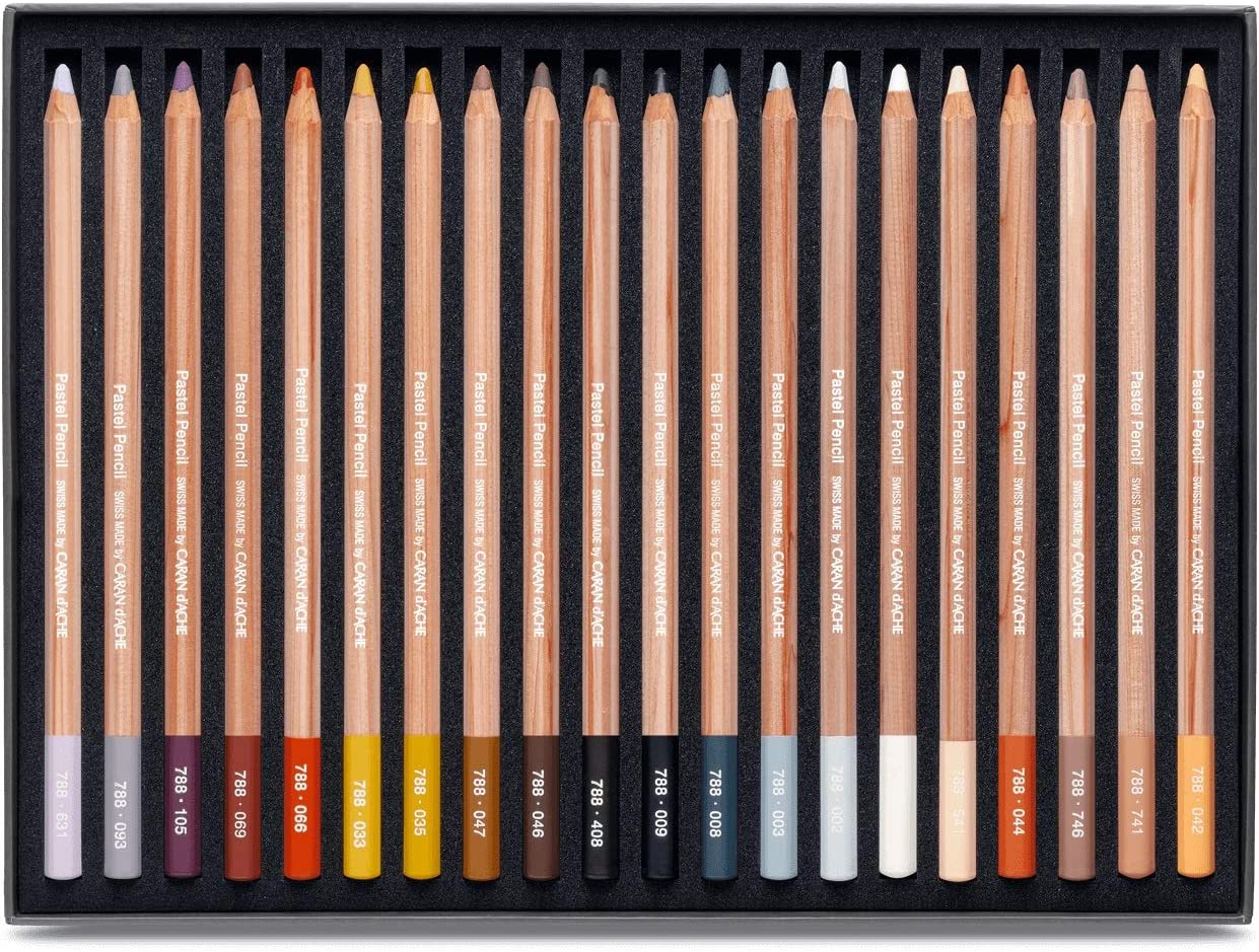 Lapiz De Color Caran D'ache Pastel Profesional Estuche C/40.